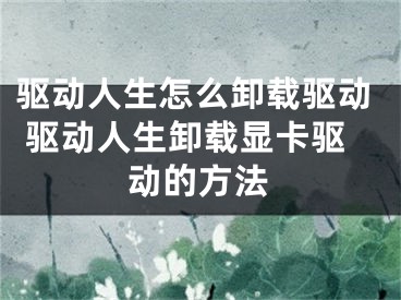 驱动人生怎么卸载驱动 驱动人生卸载显卡驱动的方法