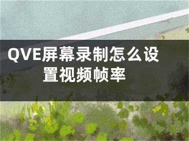 QVE屏幕录制怎么设置视频帧率 