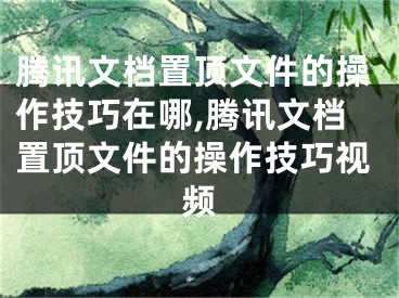 腾讯文档置顶文件的操作技巧在哪,腾讯文档置顶文件的操作技巧视频