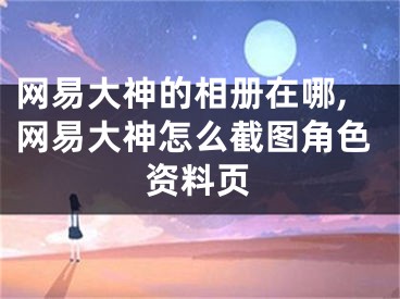 网易大神的相册在哪,网易大神怎么截图角色资料页