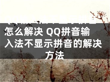 QQ输入法不显示拼音怎么解决 QQ拼音输入法不显示拼音的解决方法