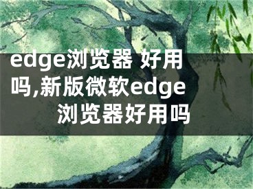 edge浏览器 好用吗,新版微软edge浏览器好用吗