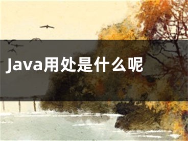 Java用处是什么呢