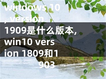 windows 10, version 1909是什么版本,win10 version 1809和1903