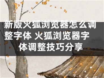 新版火狐浏览器怎么调整字体 火狐浏览器字体调整技巧分享