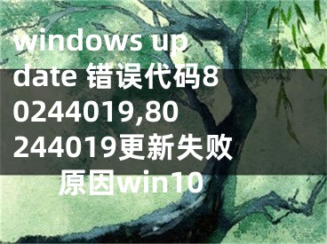 windows update 错误代码80244019,80244019更新失败原因win10