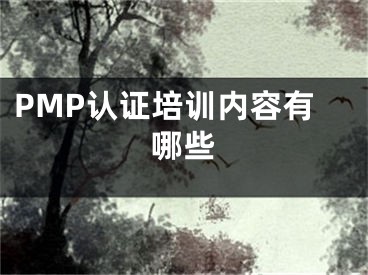 PMP认证培训内容有哪些