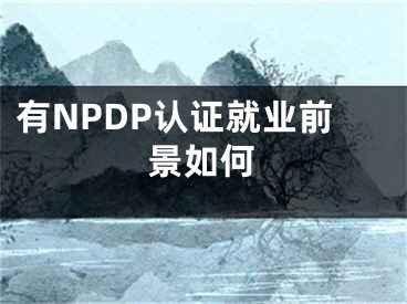 有NPDP认证就业前景如何