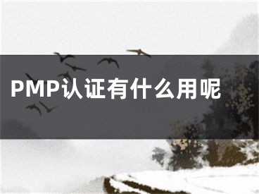 PMP认证有什么用呢