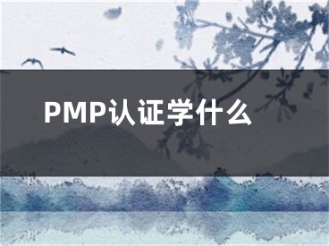 PMP认证学什么