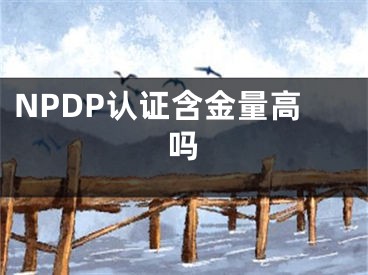 NPDP认证含金量高吗