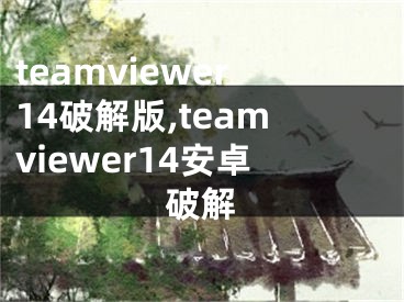 teamviewer14破解版,teamviewer14安卓破解