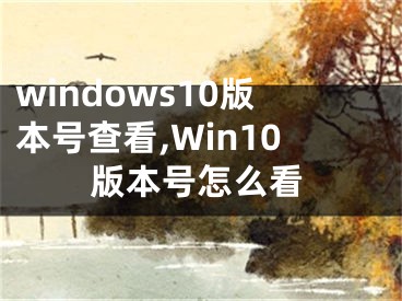 windows10版本号查看,Win10版本号怎么看