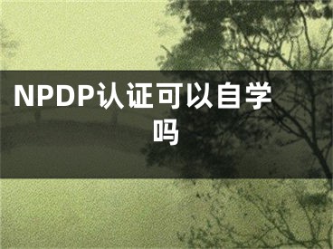 NPDP认证可以自学吗