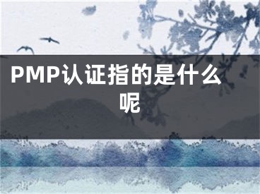 PMP认证指的是什么呢