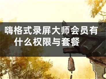 嗨格式录屏大师会员有什么权限与套餐 