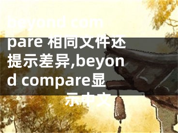 beyond compare 相同文件还提示差异,beyond compare显示中文