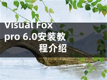 Visual Foxpro 6.0安装教程介绍