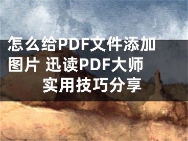 怎么给PDF文件添加图片 迅读PDF大师实用技巧分享