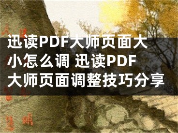 迅读PDF大师页面大小怎么调 迅读PDF大师页面调整技巧分享