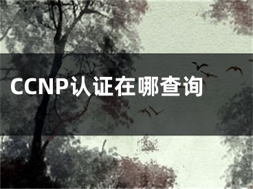 CCNP认证在哪查询