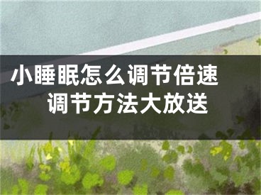 小睡眠怎么调节倍速 调节方法大放送