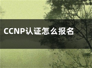 CCNP认证怎么报名
