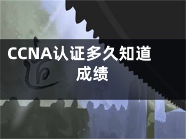 CCNA认证多久知道成绩