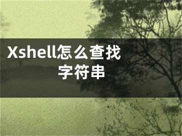 Xshell怎么查找字符串 