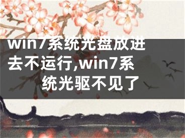 win7系统光盘放进去不运行,win7系统光驱不见了