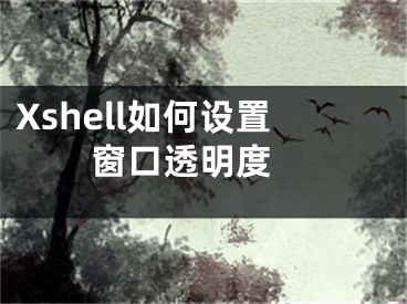 Xshell如何设置窗口透明度 