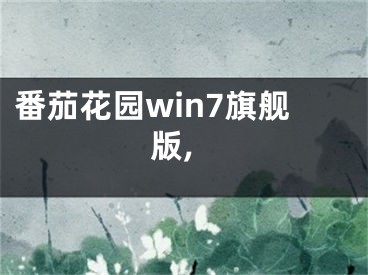 番茄花园win7旗舰版, 