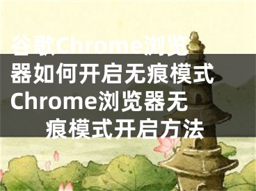 谷歌Chrome浏览器如何开启无痕模式 Chrome浏览器无痕模式开启方法