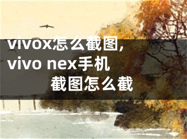 vivox怎么截图,vivo nex手机截图怎么截