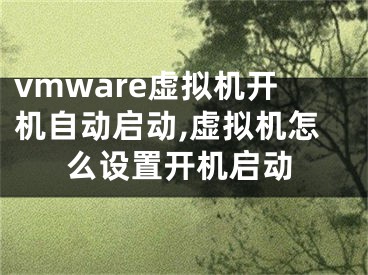 vmware虚拟机开机自动启动,虚拟机怎么设置开机启动