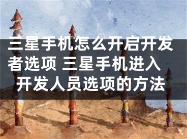 三星手机怎么开启开发者选项 三星手机进入开发人员选项的方法