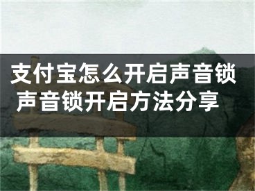 支付宝怎么开启声音锁 声音锁开启方法分享