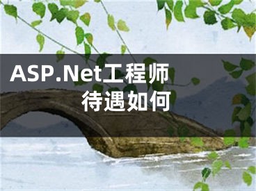 ASP.Net工程师待遇如何