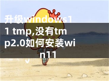 升级windows11 tmp,没有tmp2.0如何安装win11