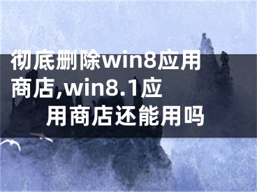 彻底删除win8应用商店,win8.1应用商店还能用吗