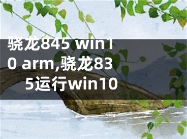 骁龙845 win10 arm,骁龙835运行win10