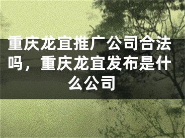 重庆龙宜推广公司合法吗，重庆龙宜发布是什么公司