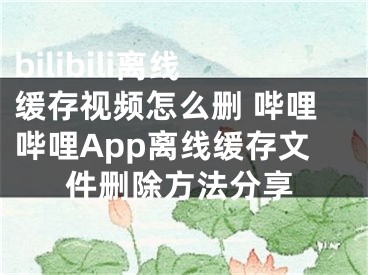 bilibili离线缓存视频怎么删 哔哩哔哩App离线缓存文件删除方法分享