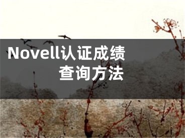 Novell认证成绩查询方法