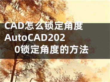 CAD怎么锁定角度 AutoCAD2020锁定角度的方法