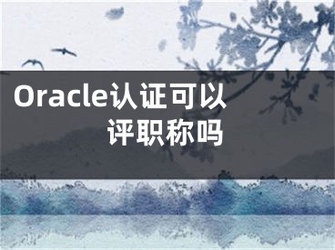 Oracle认证可以评职称吗