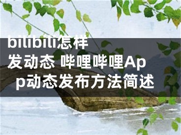 bilibili怎样发动态 哔哩哔哩App动态发布方法简述