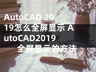 AutoCAD 2019怎么全屏显示 AutoCAD2019全屏显示的方法