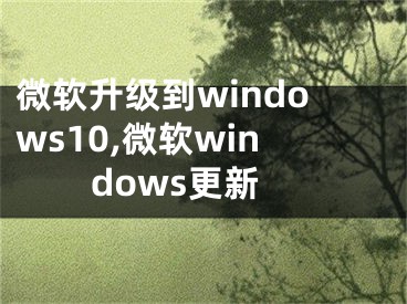 微软升级到windows10,微软windows更新