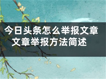 今日头条怎么举报文章 文章举报方法简述